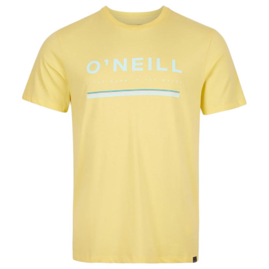 O'neill Ανδρική κοντομάνικη μπλούζα Arrowhead T-Shirt O'neill Ανδρική κοντομάνικη μπλούζα Arrowhead T-Shirt